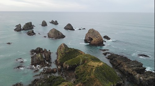 Vanyou Nueva Zelanda