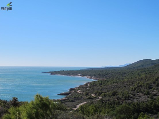 Serra d'Irta
