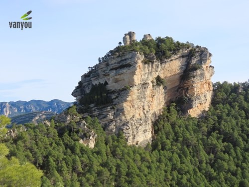 La Tinenca de Benifassa | Vanyou