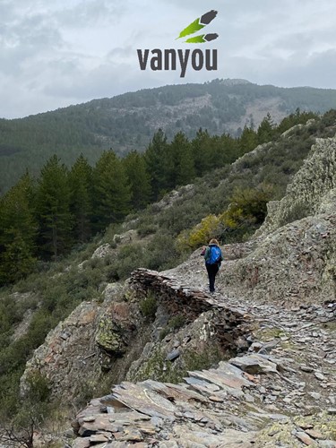vanyou madrid