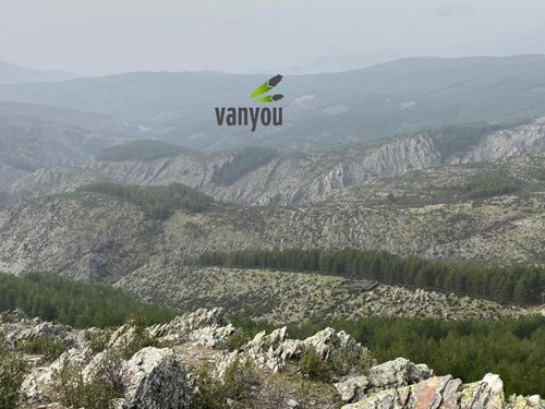 vanyou madrid