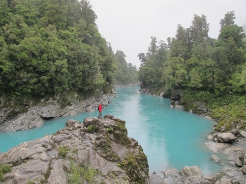 Vanyou Nueva Zelanda
