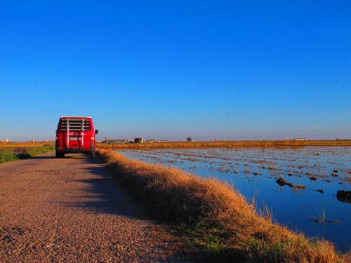 Vanyou Albufera