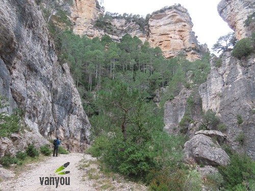 La Tinenca de Benifassa | Vanyou