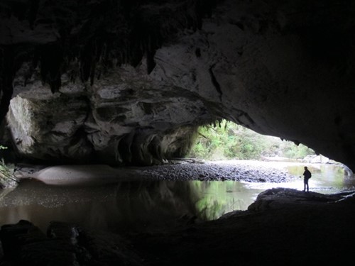 Vanyou Nueva Zelanda
