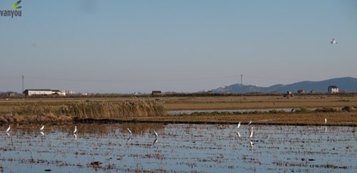 Valencia y alrededores en furgoneta camper | Vanyou