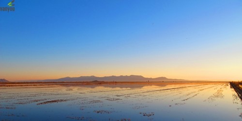 Valencia y alrededores en furgoneta camper | Vanyou