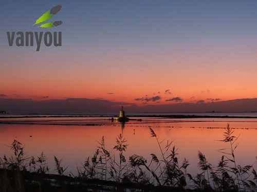 vanyou salinas marsala